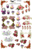 Calcas florales B