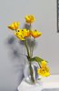 Tulipanes, amarillo, Apeldoorn